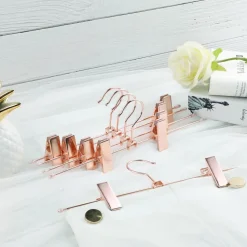 Outlet SONGMICS 10 Cintres pinces rose gold Or Rose