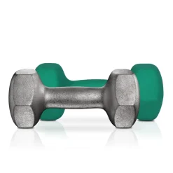 Store SONGMICS 2 Haltères 2,5 kg Bleu