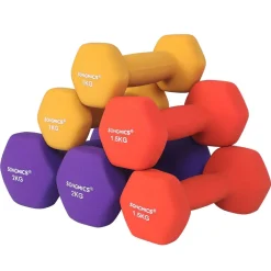 Best Sale SONGMICS 2 Haltères avec surface en vinyle rose