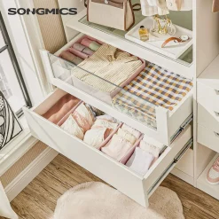 Flash Sale SONGMICS 6 Organisateurs gris