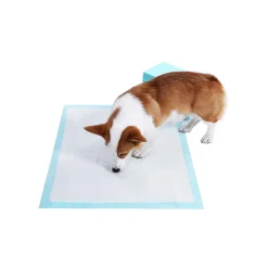 New SONGMICS 100 Tapis éducateur animal L Blanc
