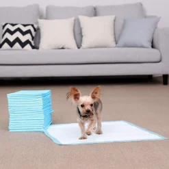 Best SONGMICS 100 Tapis éducateur animal M Blanc