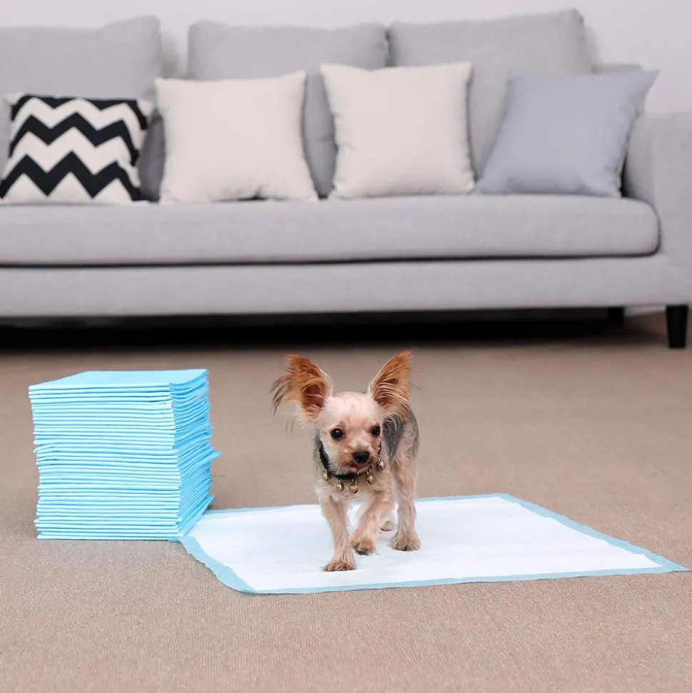Best SONGMICS 100 Tapis éducateur animal M Blanc