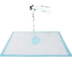 Best SONGMICS 100 Tapis éducateur animal M Blanc