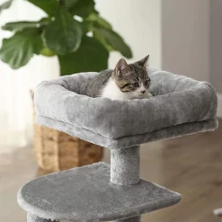 Online SONGMICS Arbre à chat 68 cm anthracite