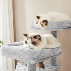 Store SONGMICS Arbre à chat 142 cm gris clair
