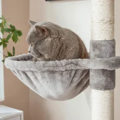 Flash Sale SONGMICS Arbre à chat 206 cm gris clair