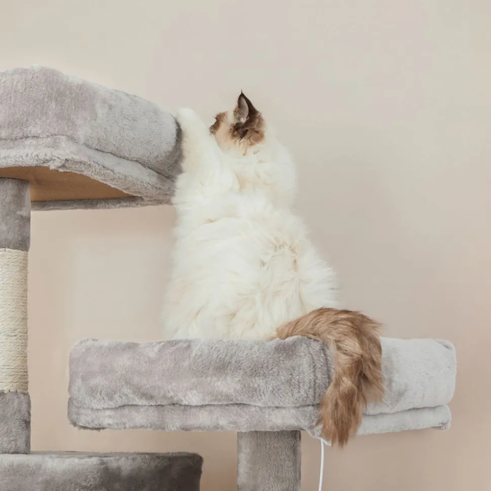 Flash Sale SONGMICS Arbre à chat 206 cm gris clair