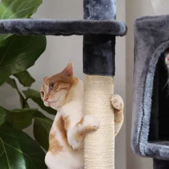 Best Sale SONGMICS Arbre à chat 120 cm gris clair