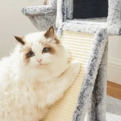 New SONGMICS Arbre à chat 66 cm gris clair