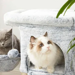 New SONGMICS Arbre à chat 66 cm gris clair