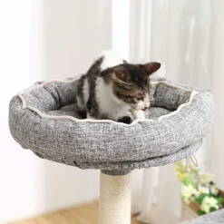 Cheap SONGMICS Arbre à chat 136 cm gris clair Blanc