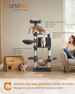 Store SONGMICS Arbre à chat 164 cm gris clair