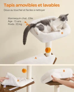 Cheap SONGMICS Arbre à Chat avec Maison de Toilettes