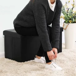 Store SONGMICS Banc de rangement 80L noir