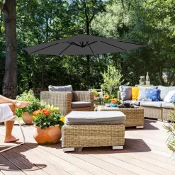 Discount SONGMICS Canisse 0,9 x 3 m gris foncé