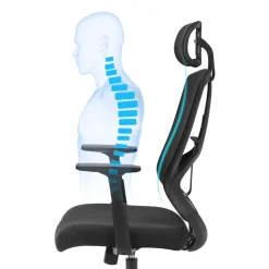 Hot SONGMICS Chaise de bureau dossier confort Blanc