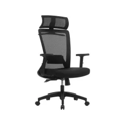 Best SONGMICS Fauteuil de bureau ergonomique noir d'encre