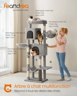 Best Sale SONGMICS Grand arbre à chat hauteur 175 cm 2 paniers 5 griffoirs gris tourterelle