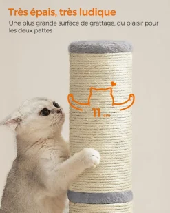 Best SONGMICS Griffoir pour chat 53 cm de haut gris tourterelle