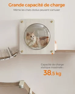 Sale SONGMICS Niche pour chat murale avec fenêtre d'observation Marron Avoine