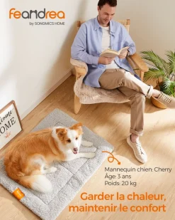 Fashion SONGMICS Panier pour chien 60 x 45 Gris Tourterelle