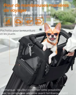 Online SONGMICS Sac transport chat chien pliable Noir Classique